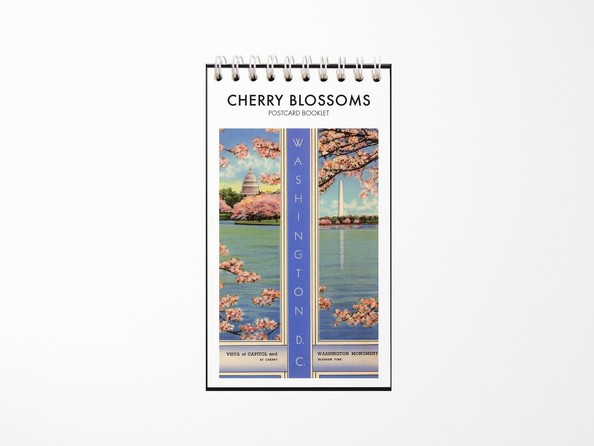 Cherry Blossoms in DC Postcard Booklet