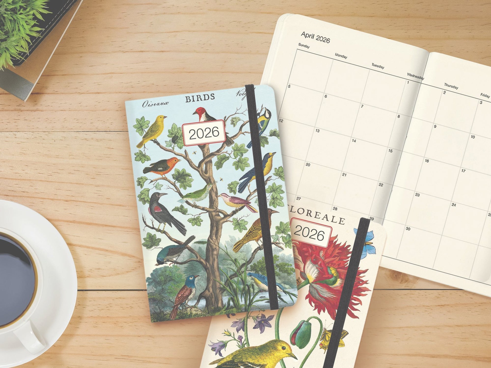 Cavallini 2026 WEEKLY PLANNER - National Parks
