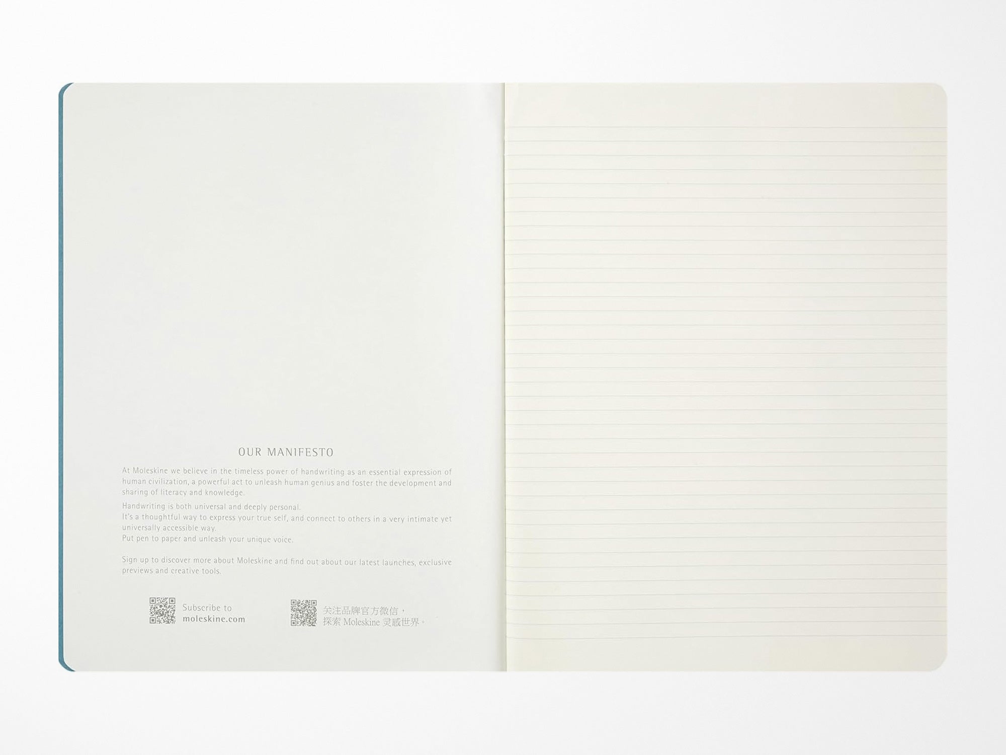 Moleskine Peanuts Limited Edition Cahier Journal - Single Linus